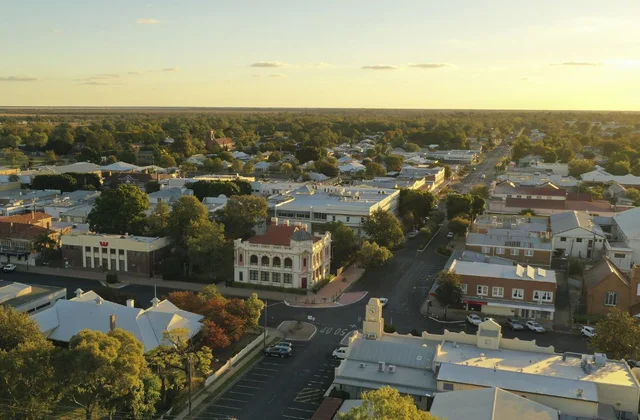 Local's Guide Walking Tour