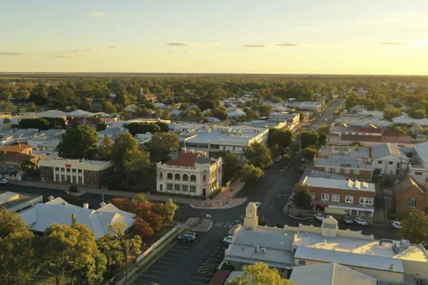 Local's Guide Walking Tour