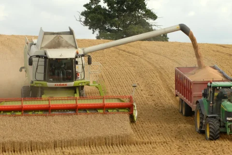 Harvest-Fest 2025