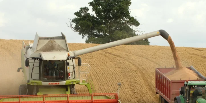 Harvest-Fest 2025