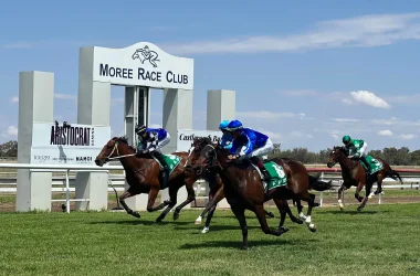 Moree Cup