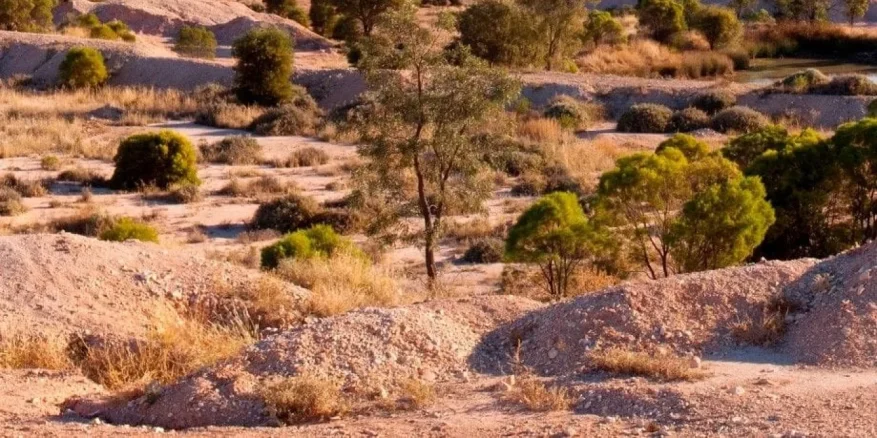 Guided Lightning Ridge Tour
