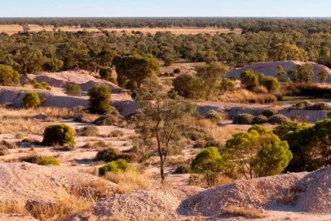 Guided Lightning Ridge Tour