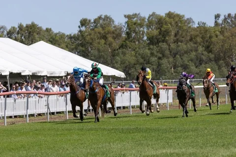 Moree Twilight Races 2025