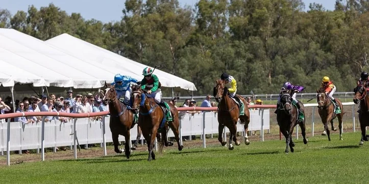 Moree Twilight Races 2025