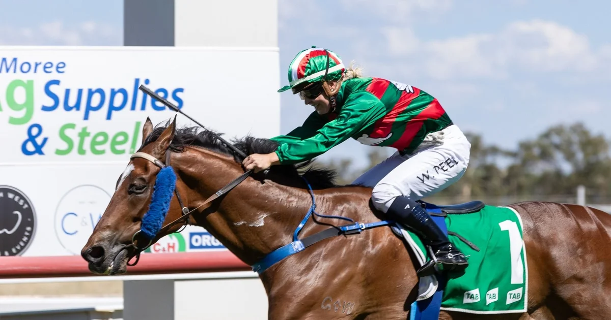 Country Sport: From Golf to Horses - What's On in Moree Plains
