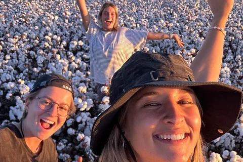 Cotton Farm & Gin Tour