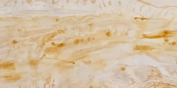 Enduring Ground Exhibition Opening