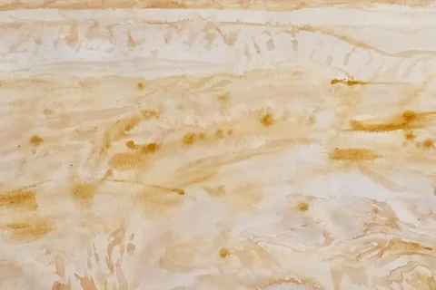 Enduring Ground Exhibition Opening