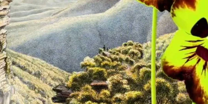 Joan Ross - Let’s party like it’s 1815 Exhibition Opening 