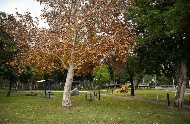 Lyle Houlahan Park
