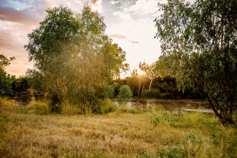 Gum Flat Nature Reserve