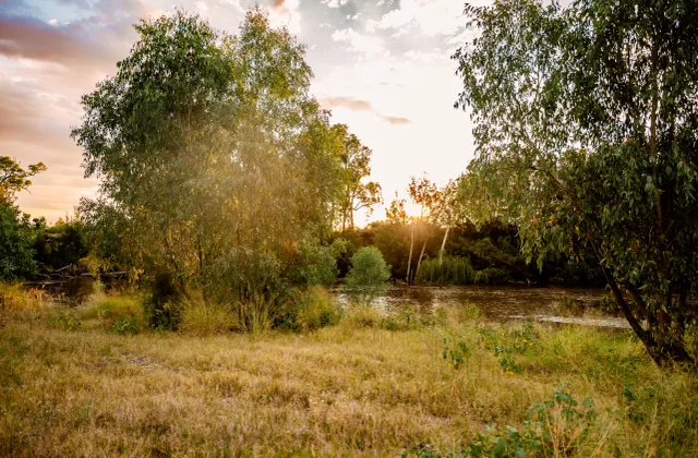 Gum Flat Nature Reserve