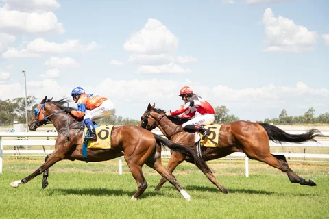 Moree Tab Races 