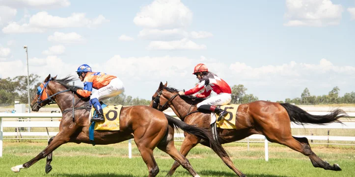 Moree Tab Races 