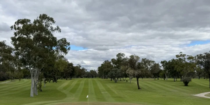 Golf & Moree Cup Calcutta