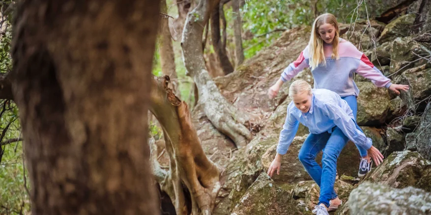 Bush Walk: Waa Gorge