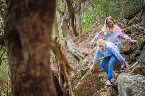 Bush Walk: Waa Gorge