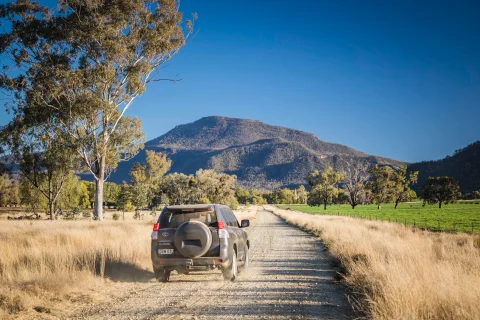 Self-Guided Drives