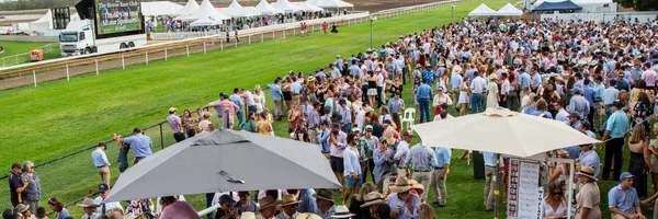 View of Saddling Up for Horse Racing 
