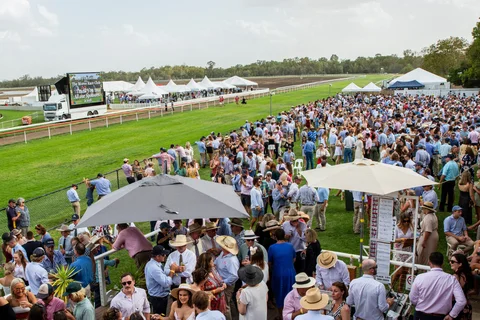 Saddling Up for Horse Racing 