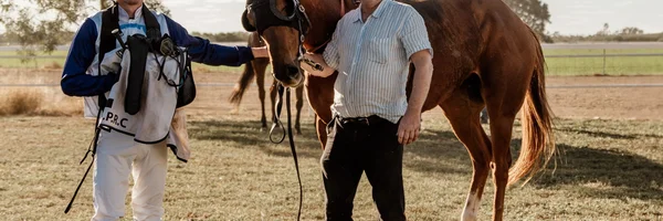 View of Chasing the Golden Triangle