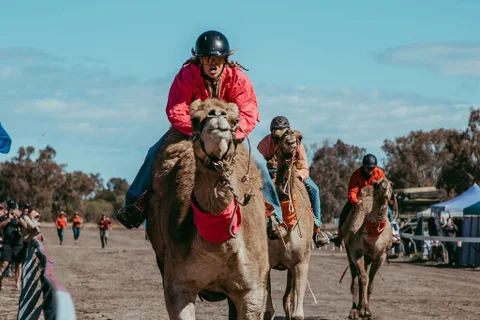 Mungindi Show 2026