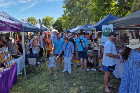 Pally Bush Markets