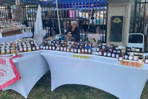 Pally Bush Markets