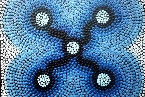 Gamilaroi Artist EOI