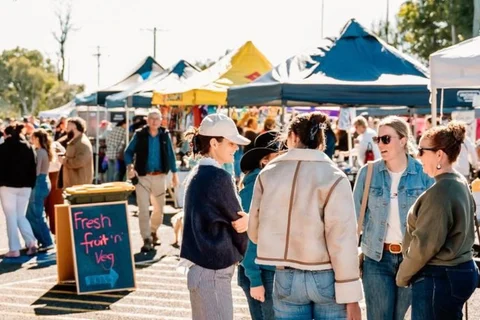 Pally Bush Markets