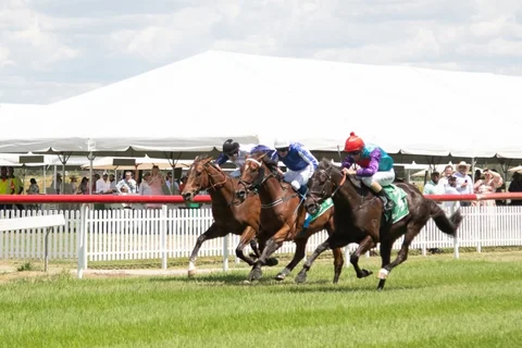 Moree Ag Supplies & Steel Christmas Twilight Races