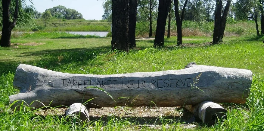 A day on the Gwydir - Tareelaroi Wier
