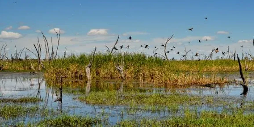 Gwydir Wetlands