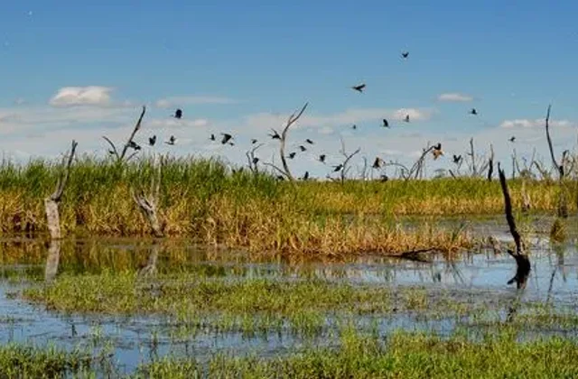 Gwydir Wetlands