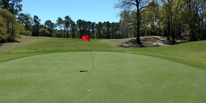 Lions Charity Ambrose