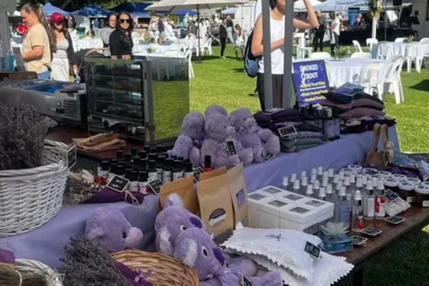 Pally Bush Markets