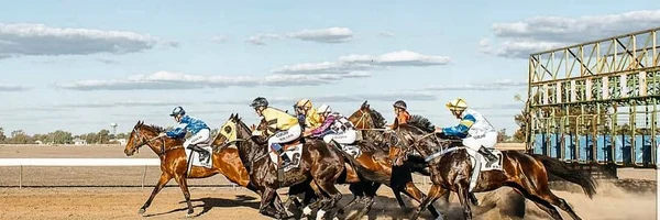 View of Chasing the Golden Triangle
