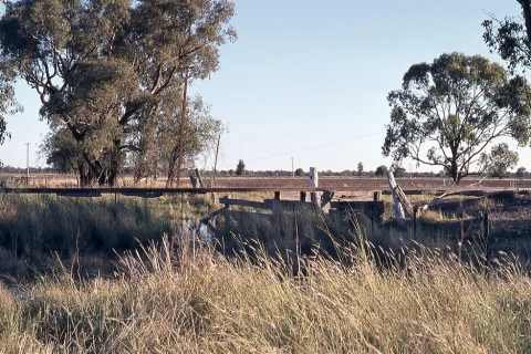 View of Weemelah